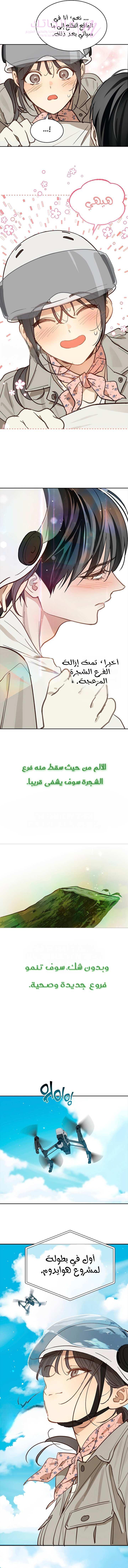 الصفحة 8