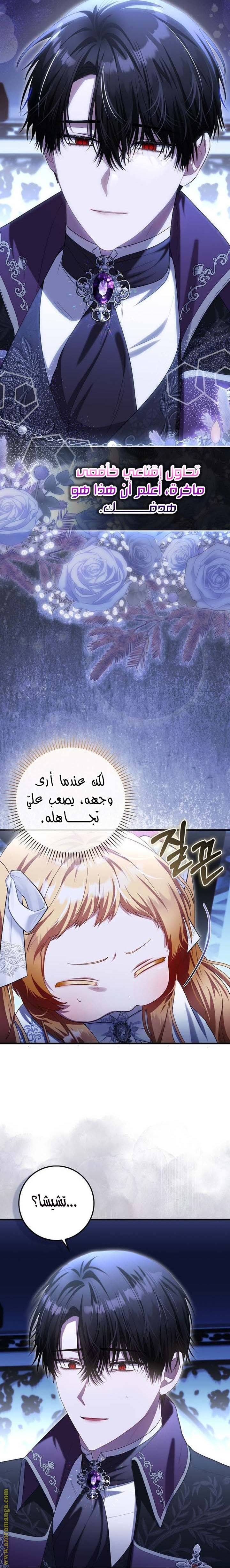 الصفحة 17