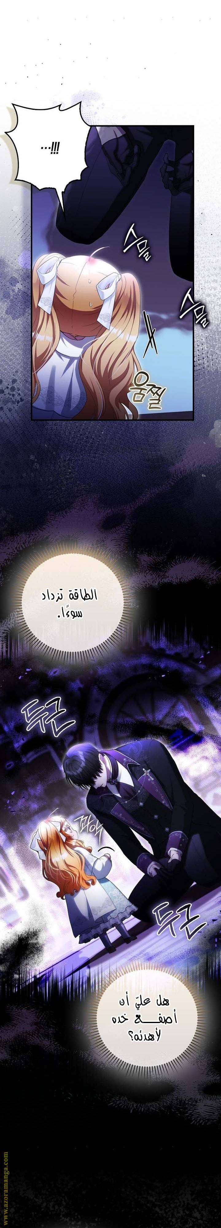 الصفحة 25