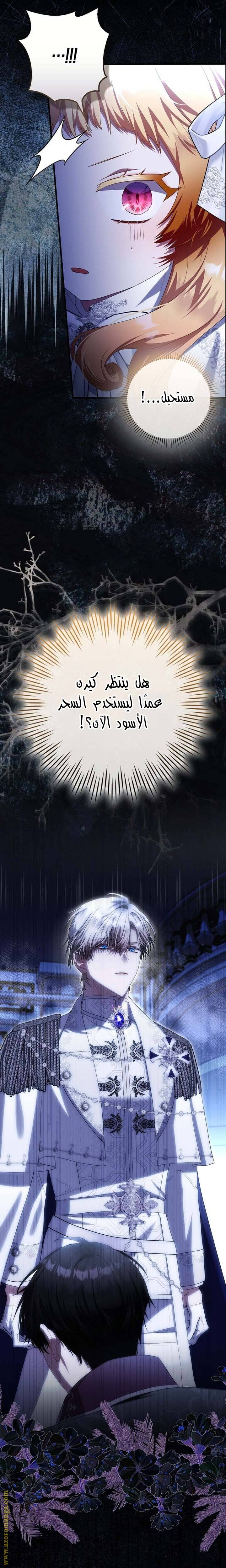 الصفحة 27