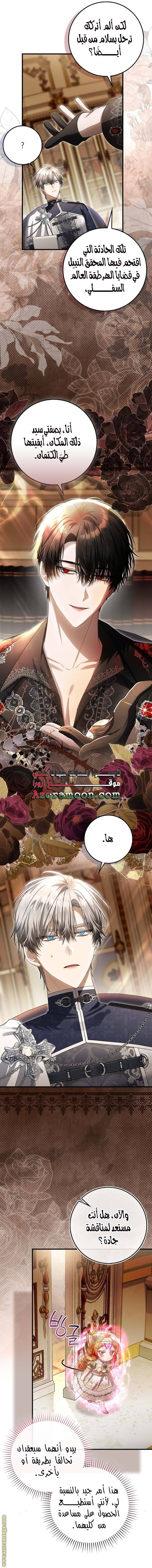 الصفحة 11