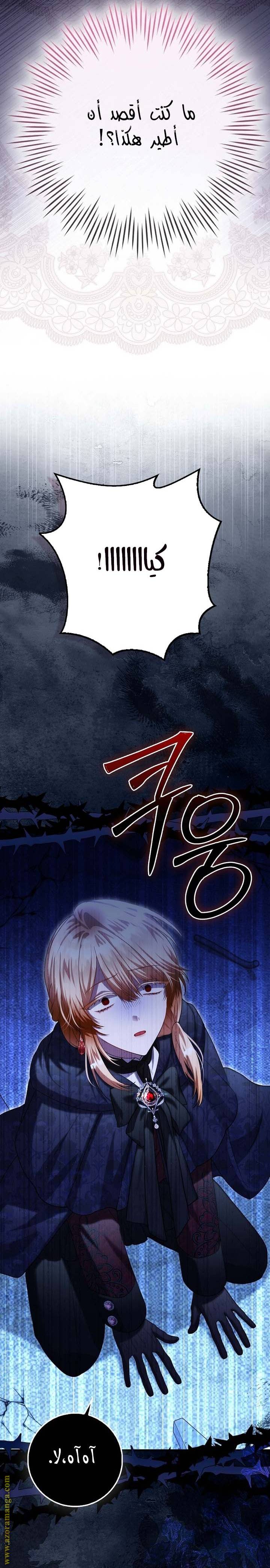 الصفحة 30
