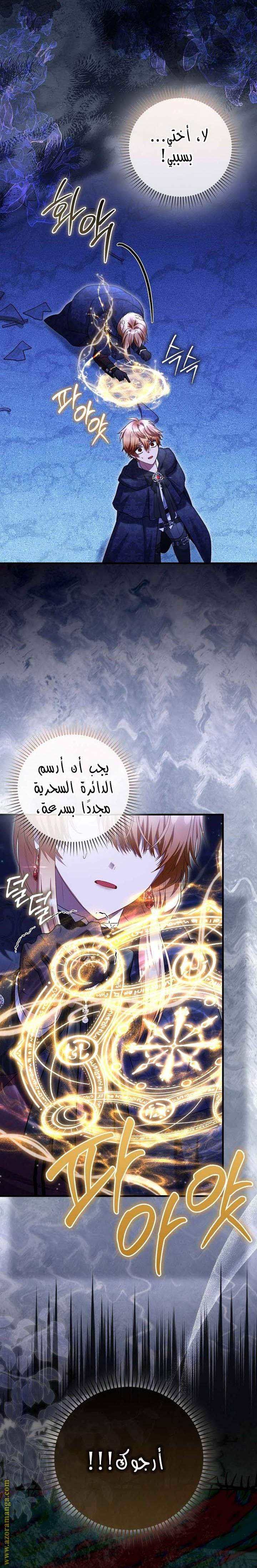 الصفحة 31