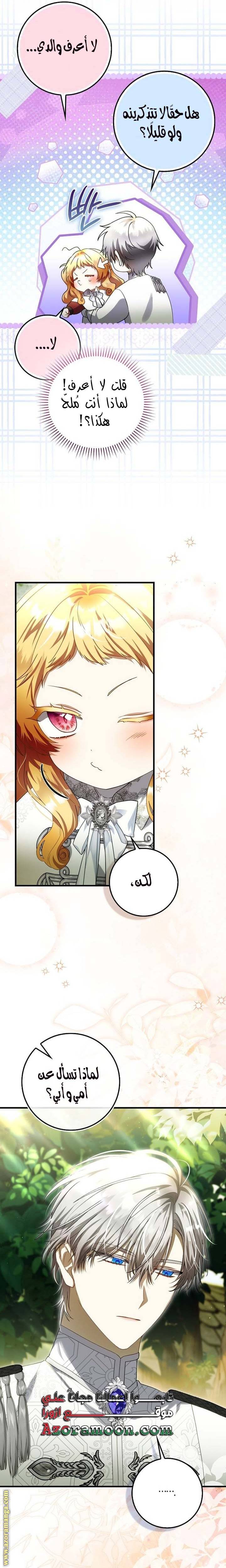 الصفحة 17