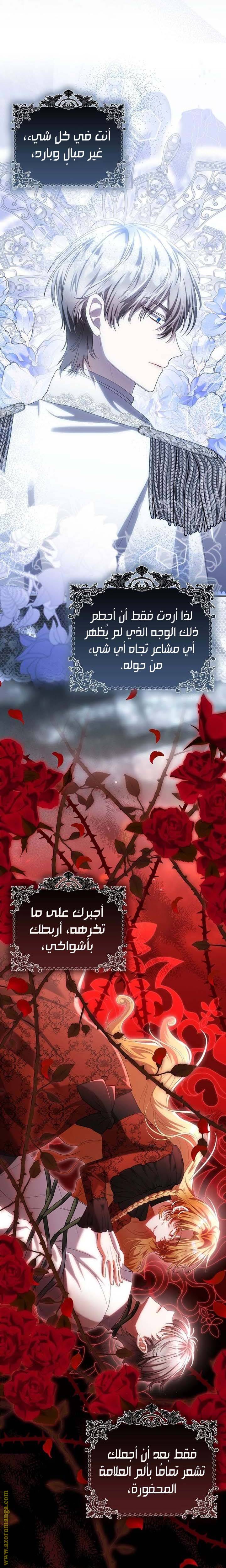 الصفحة 25