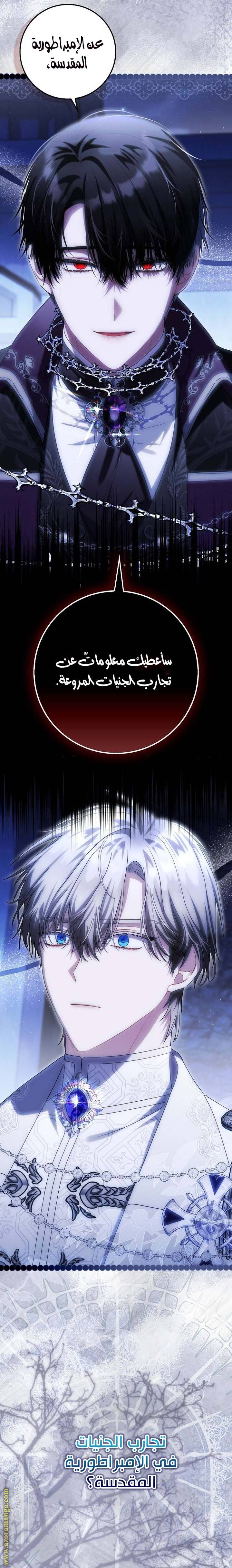 الصفحة 13