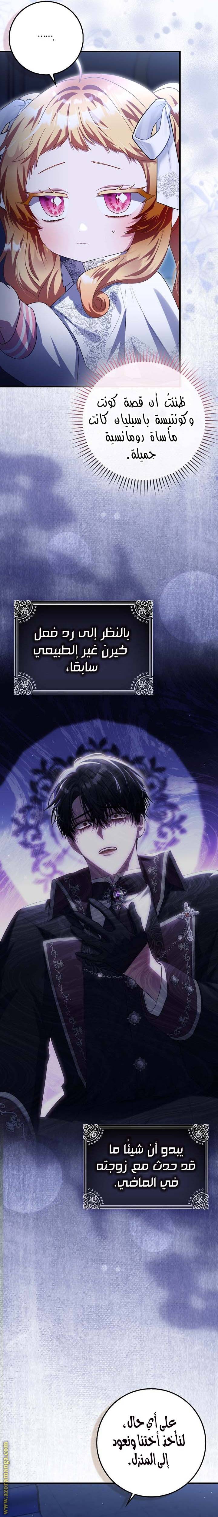 الصفحة 17