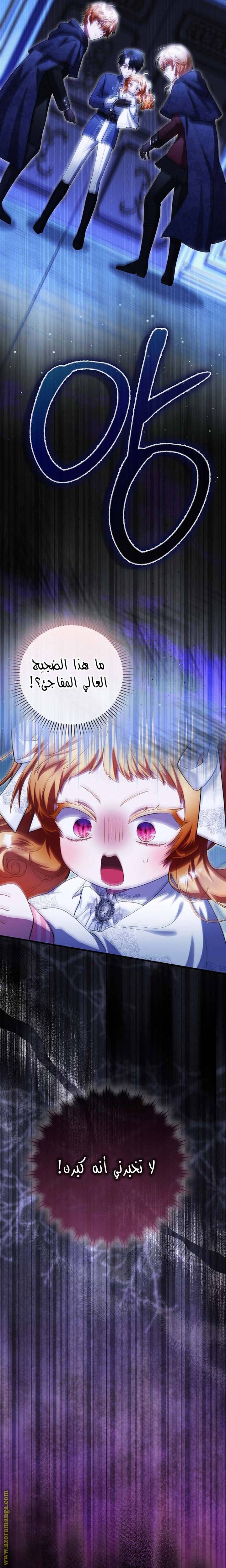 الصفحة 24