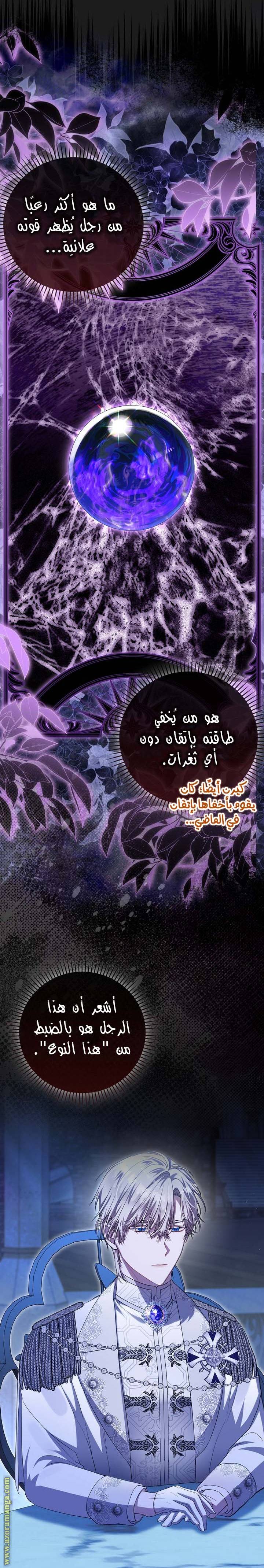 الصفحة 26