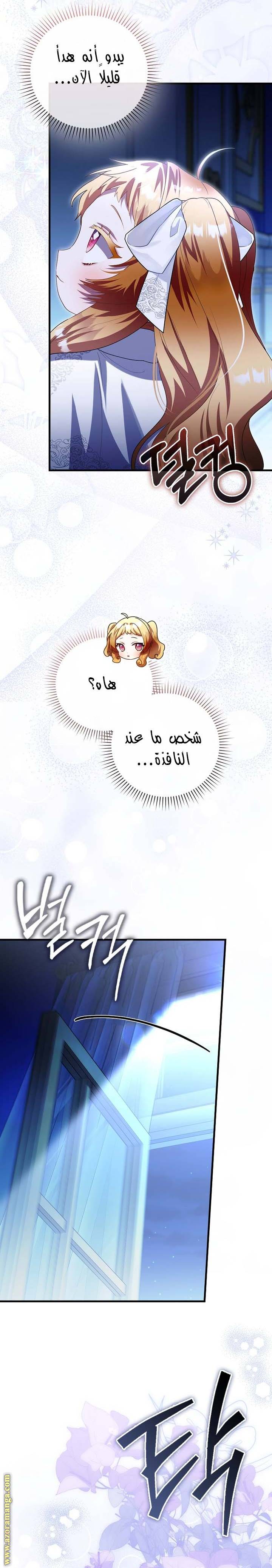 الصفحة 16
