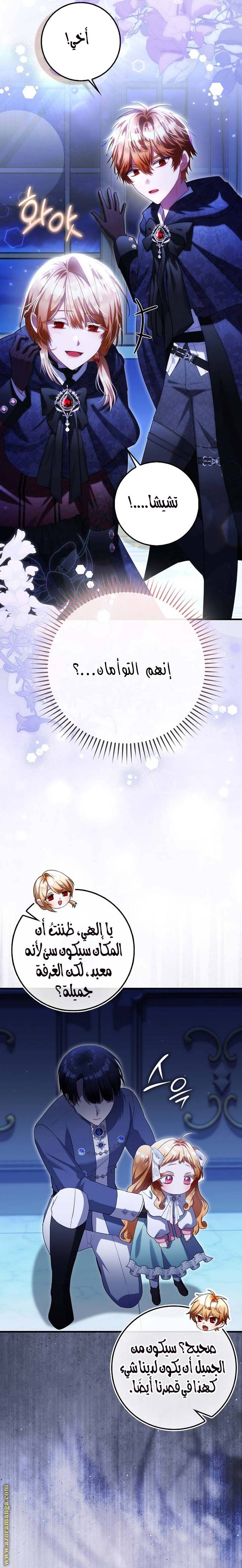 الصفحة 17