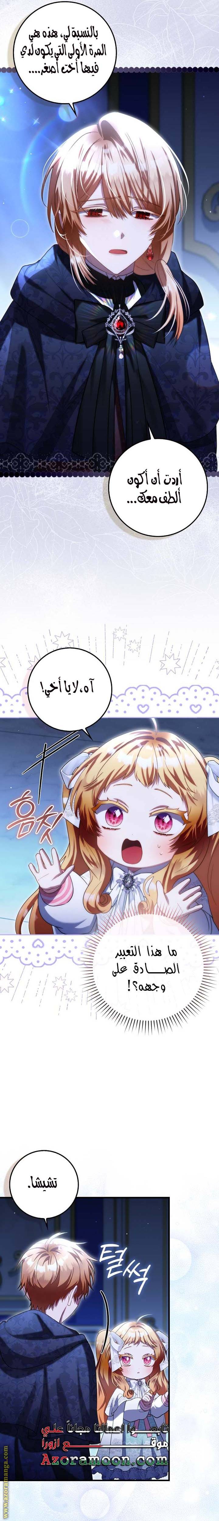 الصفحة 24