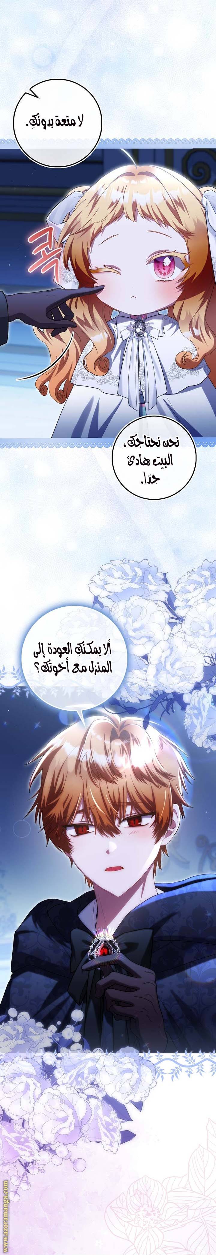 الصفحة 25