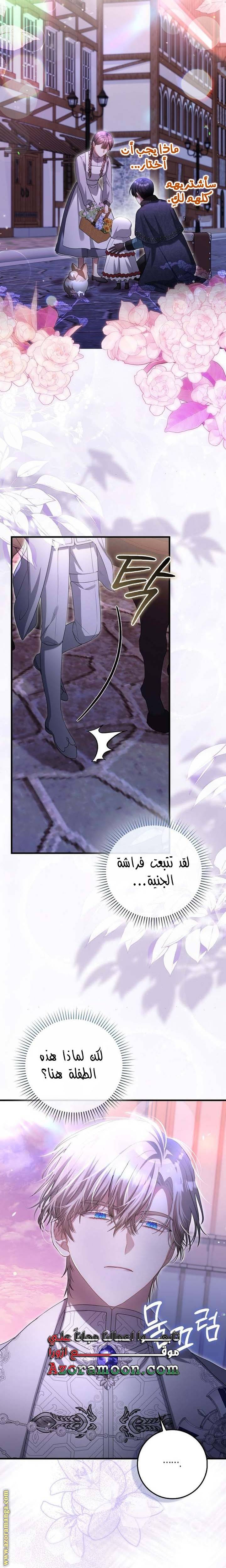 الصفحة 17