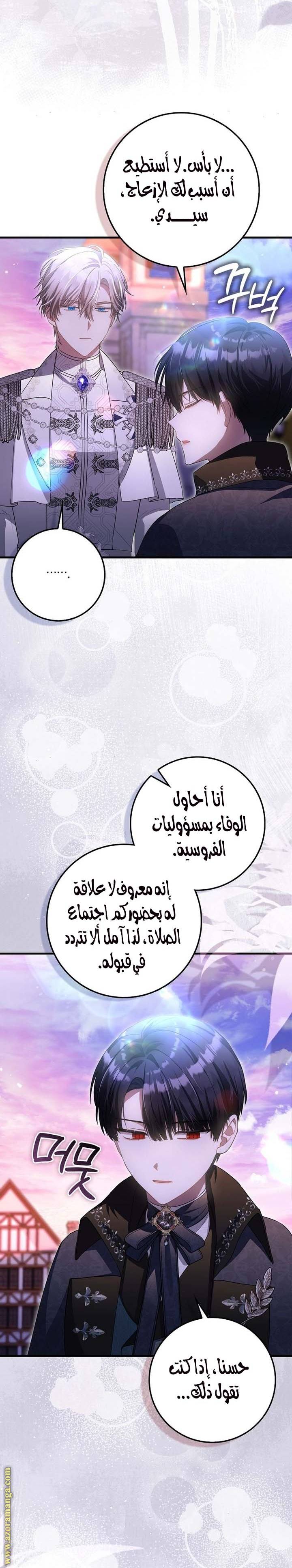 الصفحة 26