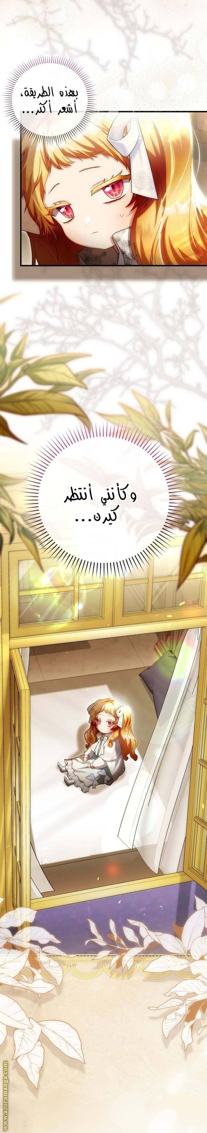 الصفحة 17