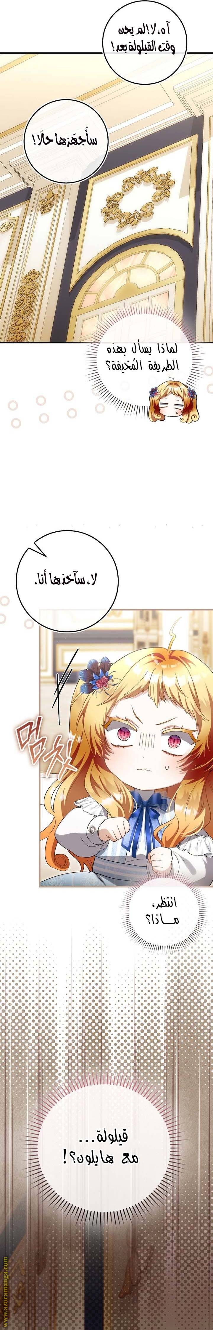 الصفحة 29