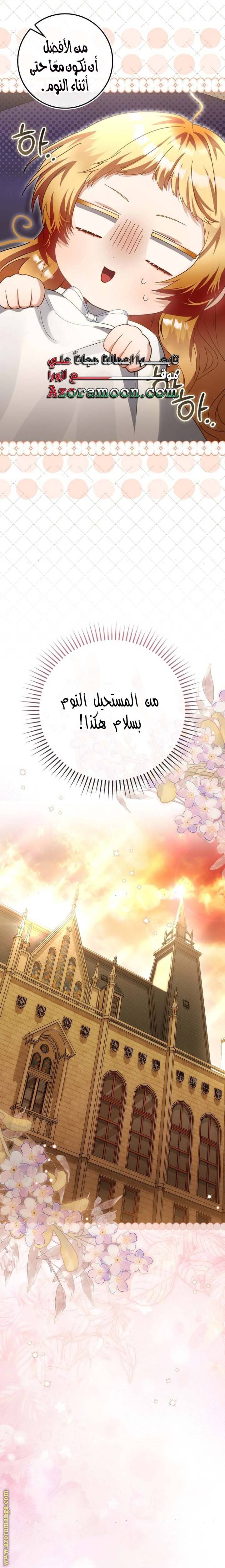 الصفحة 31