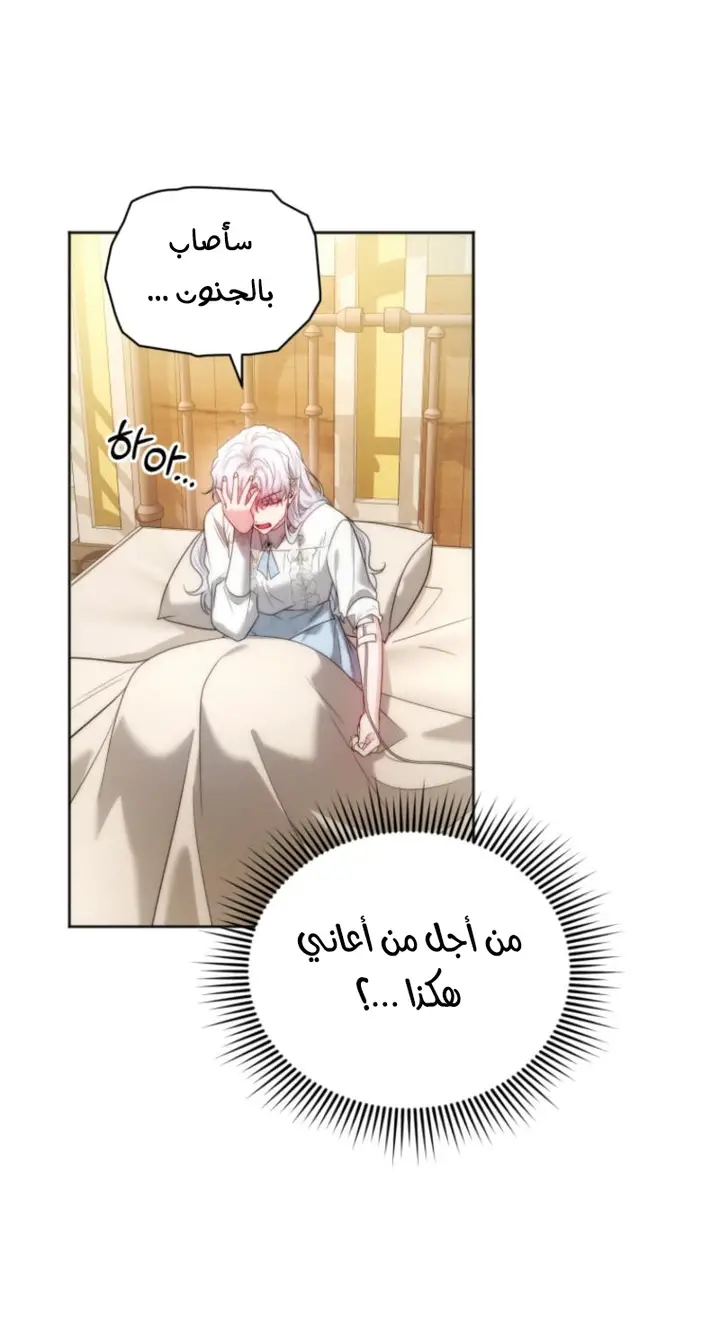 الصفحة 29