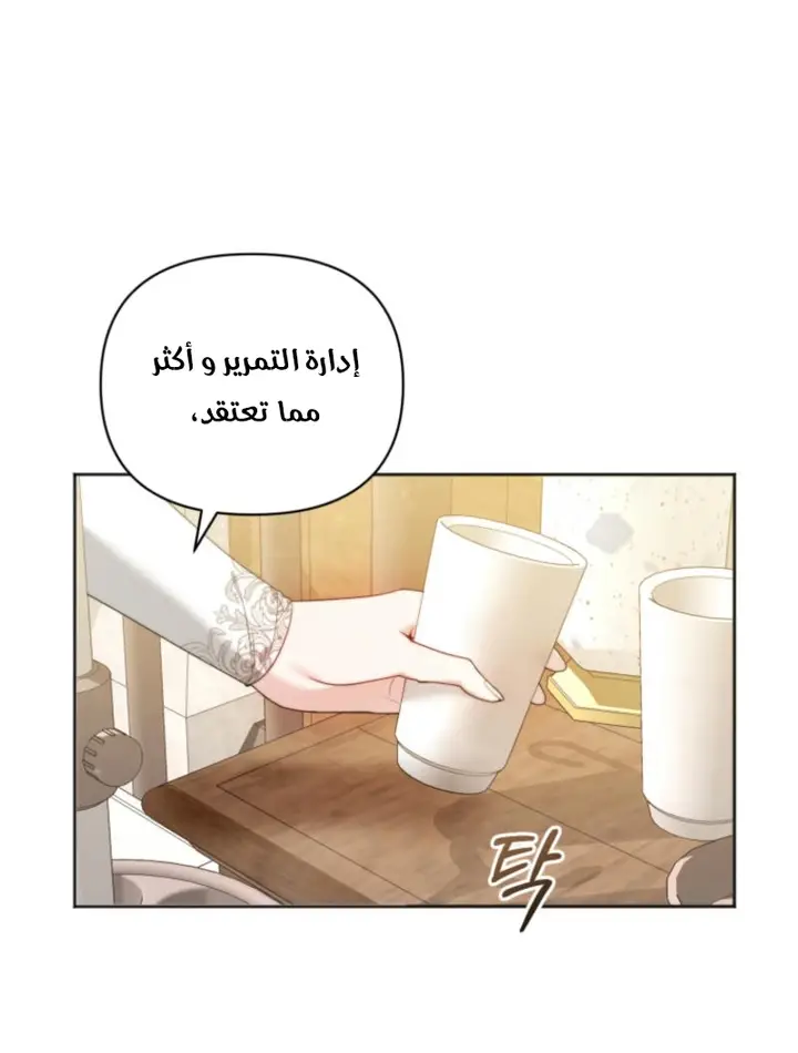 الصفحة 48