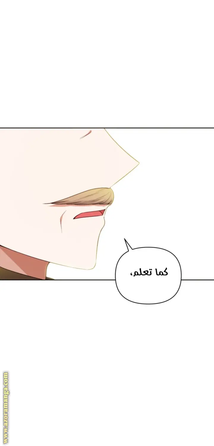 الصفحة 21