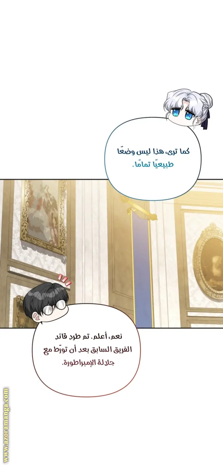 الصفحة 43