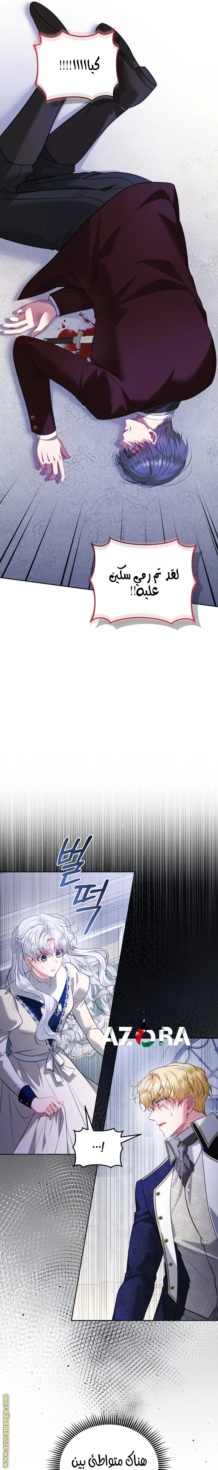 الصفحة 12