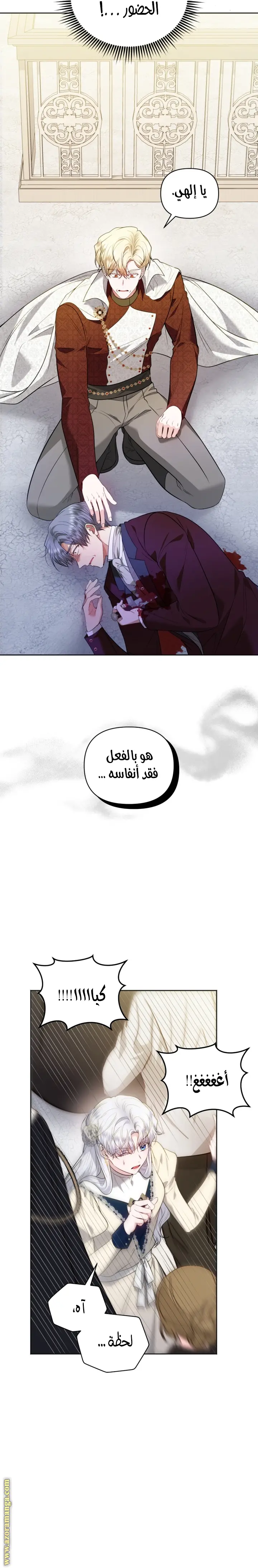 الصفحة 13