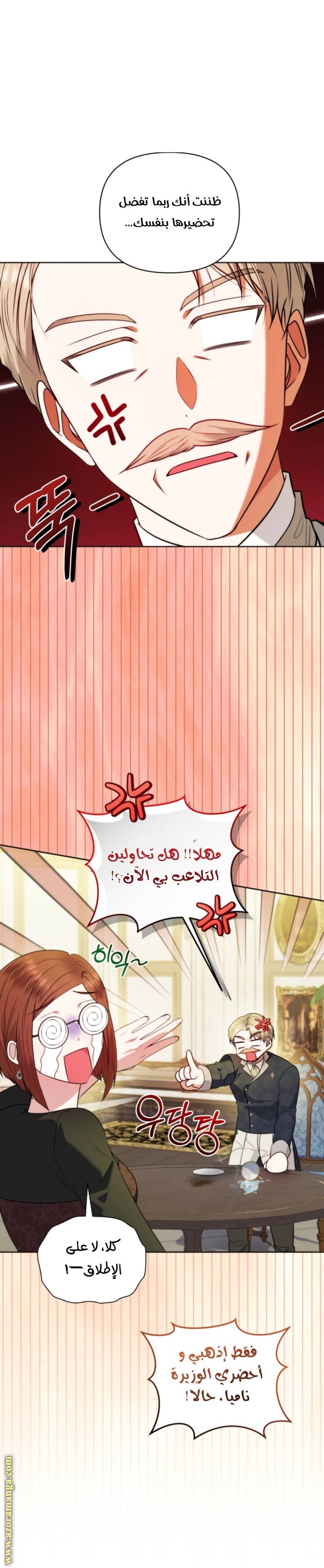 الصفحة 26