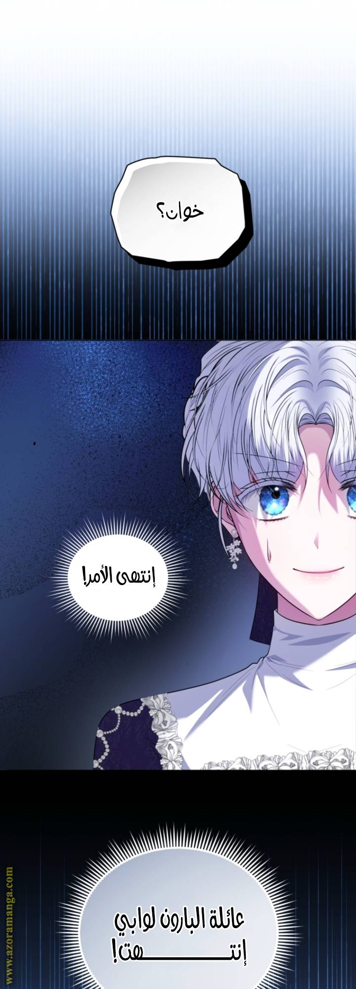 الصفحة 17