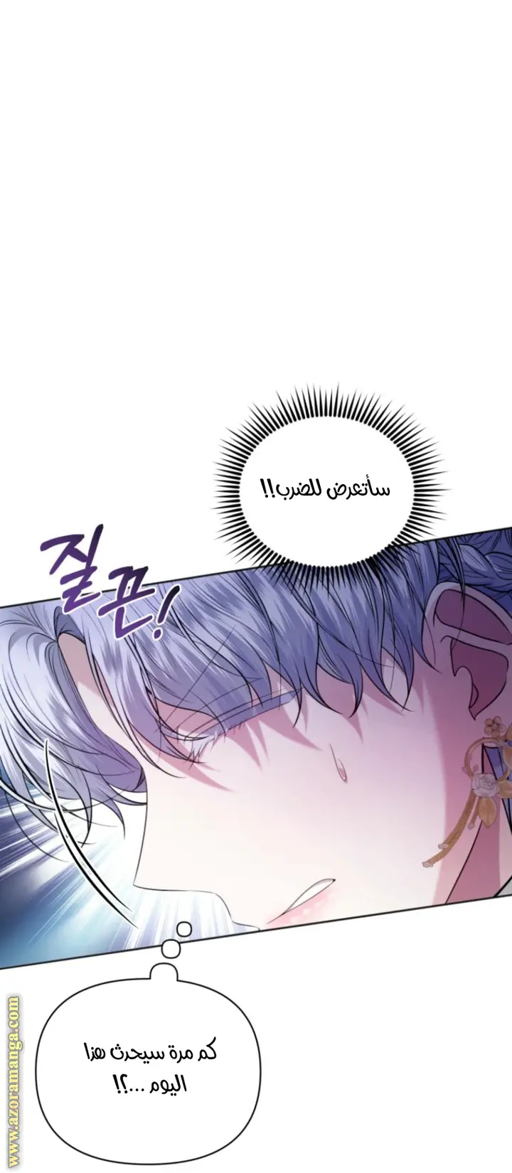 الصفحة 41