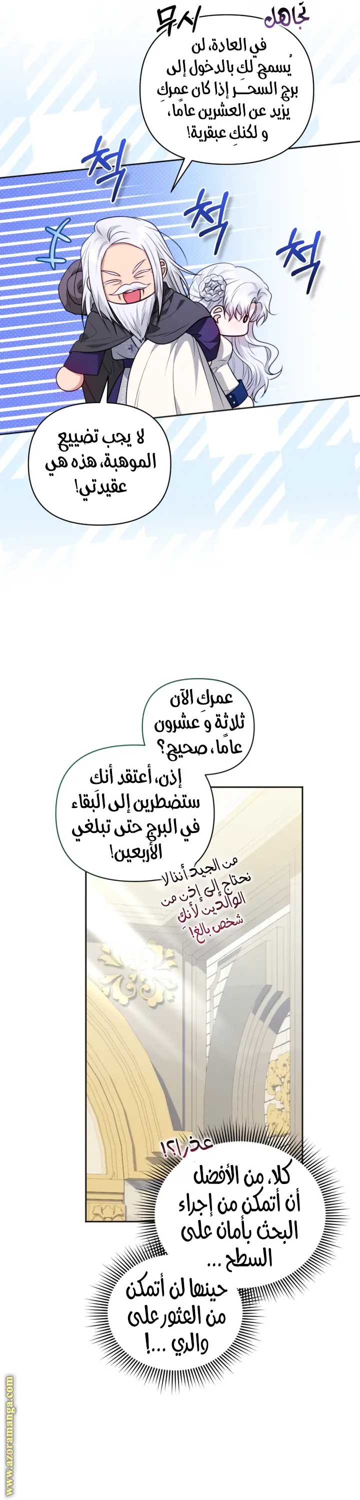 الصفحة 17