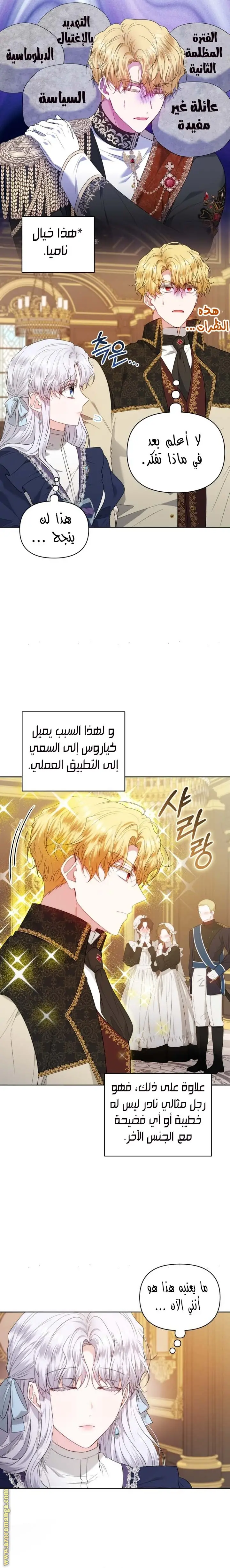الصفحة 13