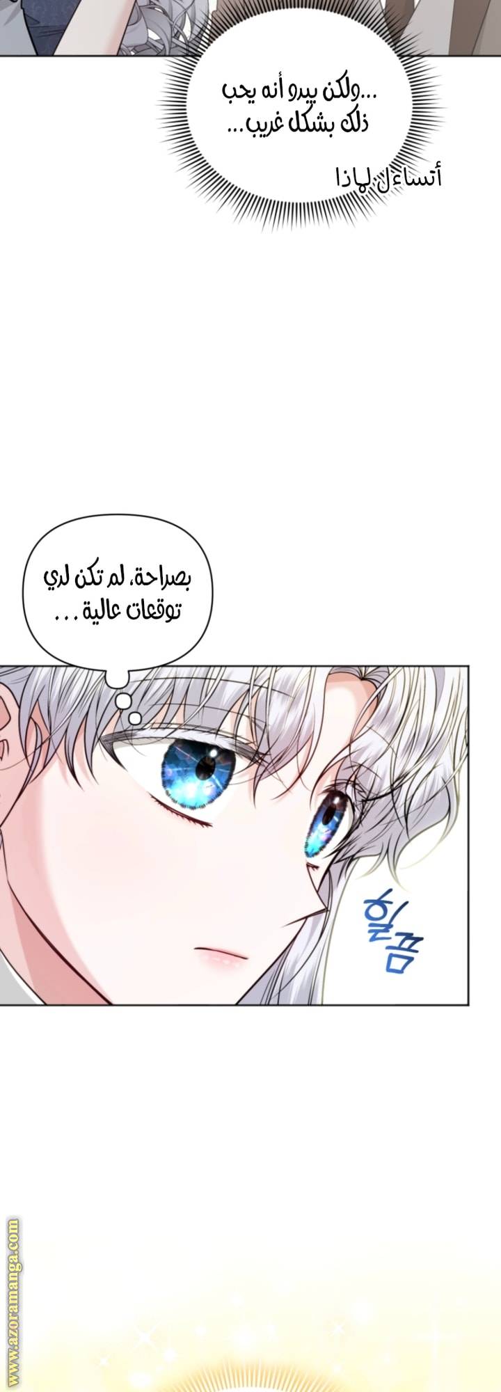 الصفحة 46