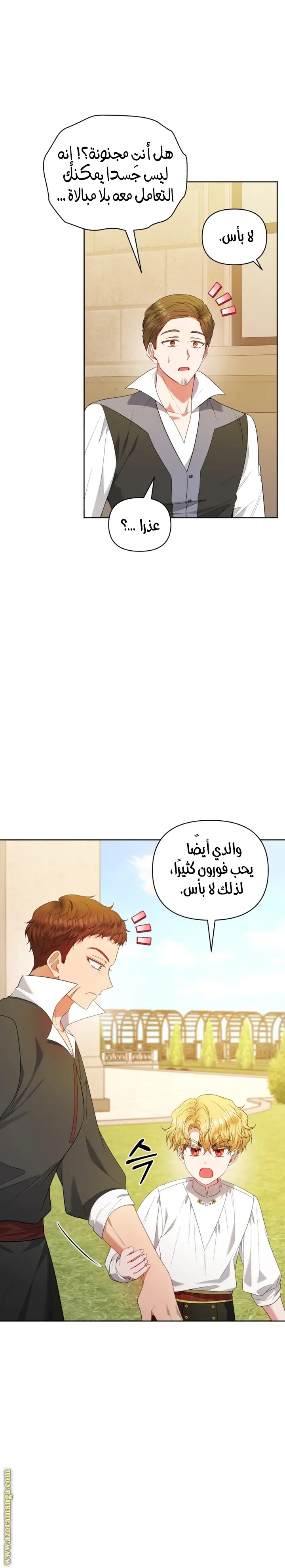 الصفحة 21