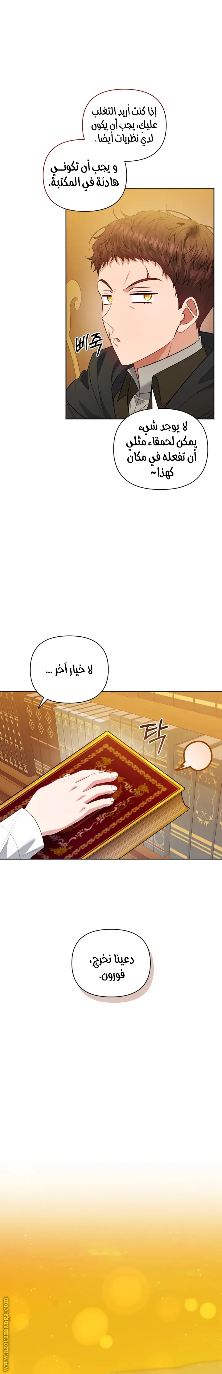 الصفحة 25