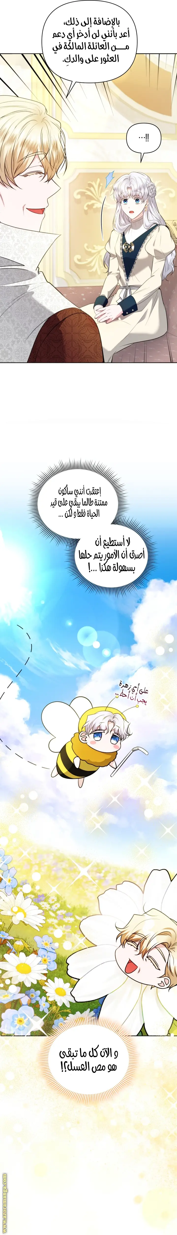 الصفحة 26