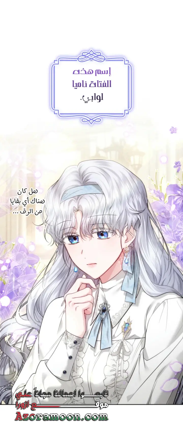 الصفحة 27