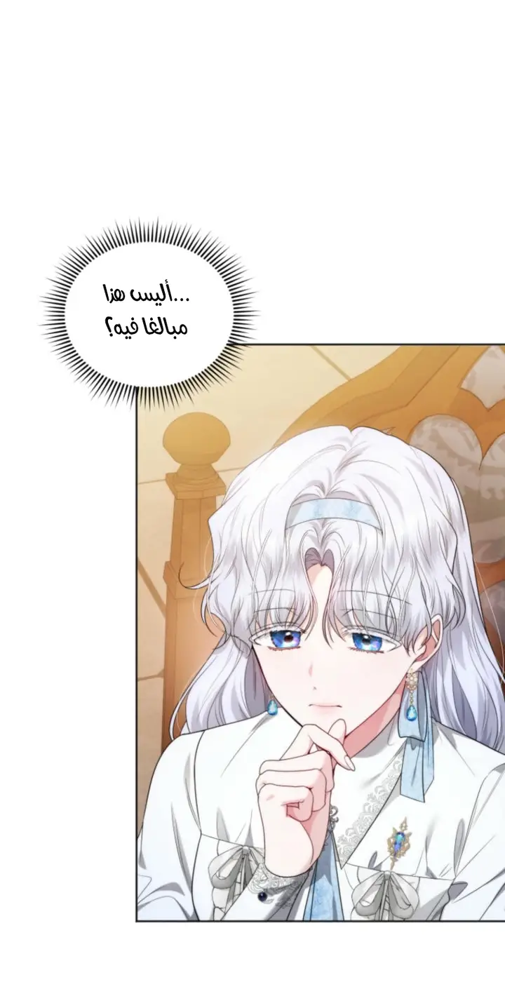 الصفحة 41