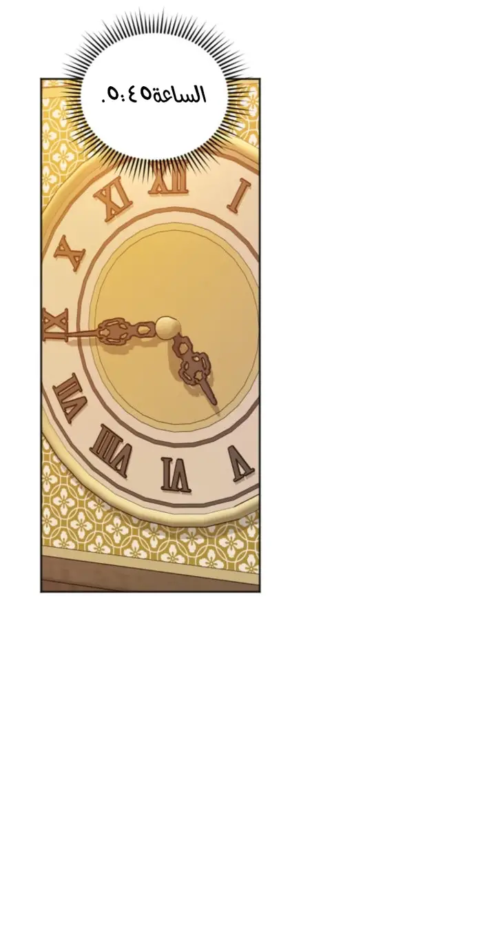 الصفحة 55