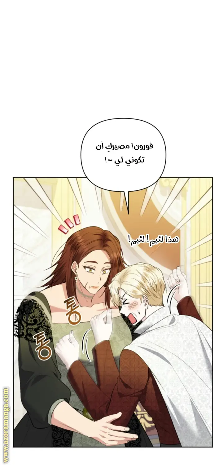 الصفحة 27