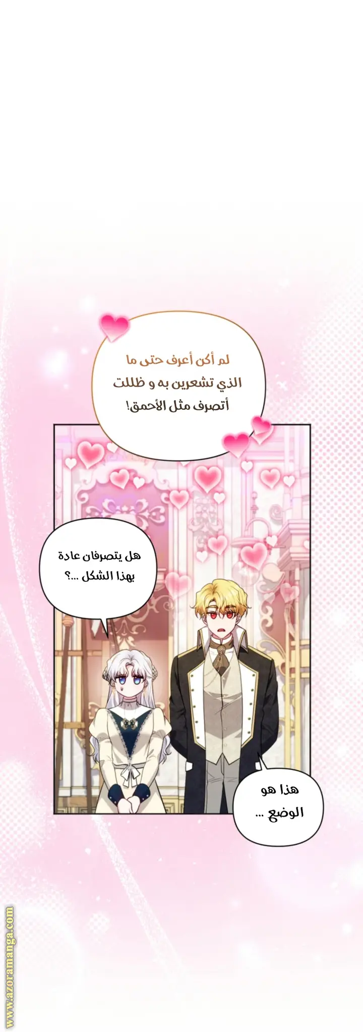 الصفحة 29