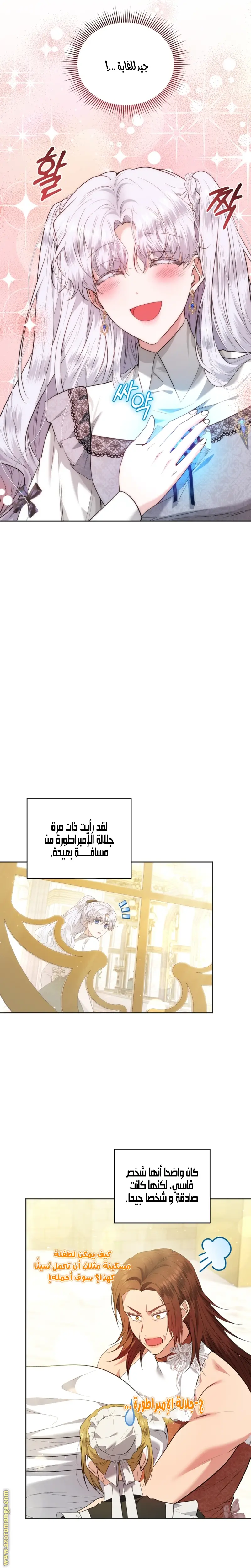 الصفحة 17