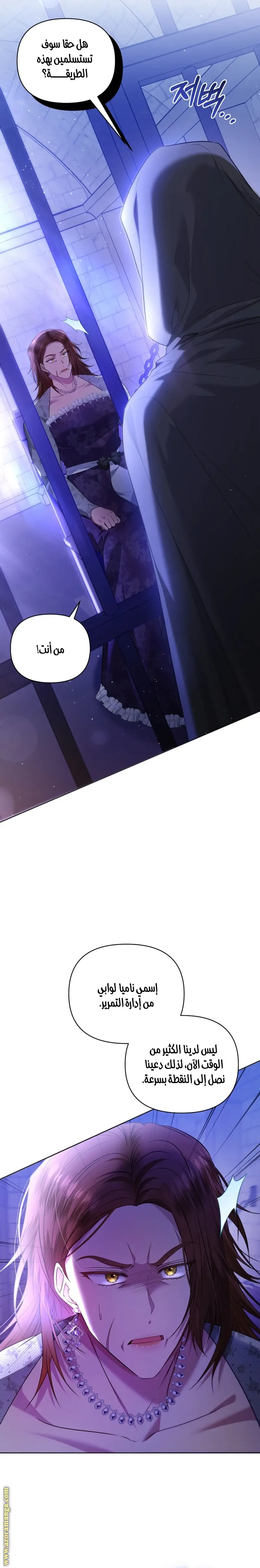 الصفحة 31