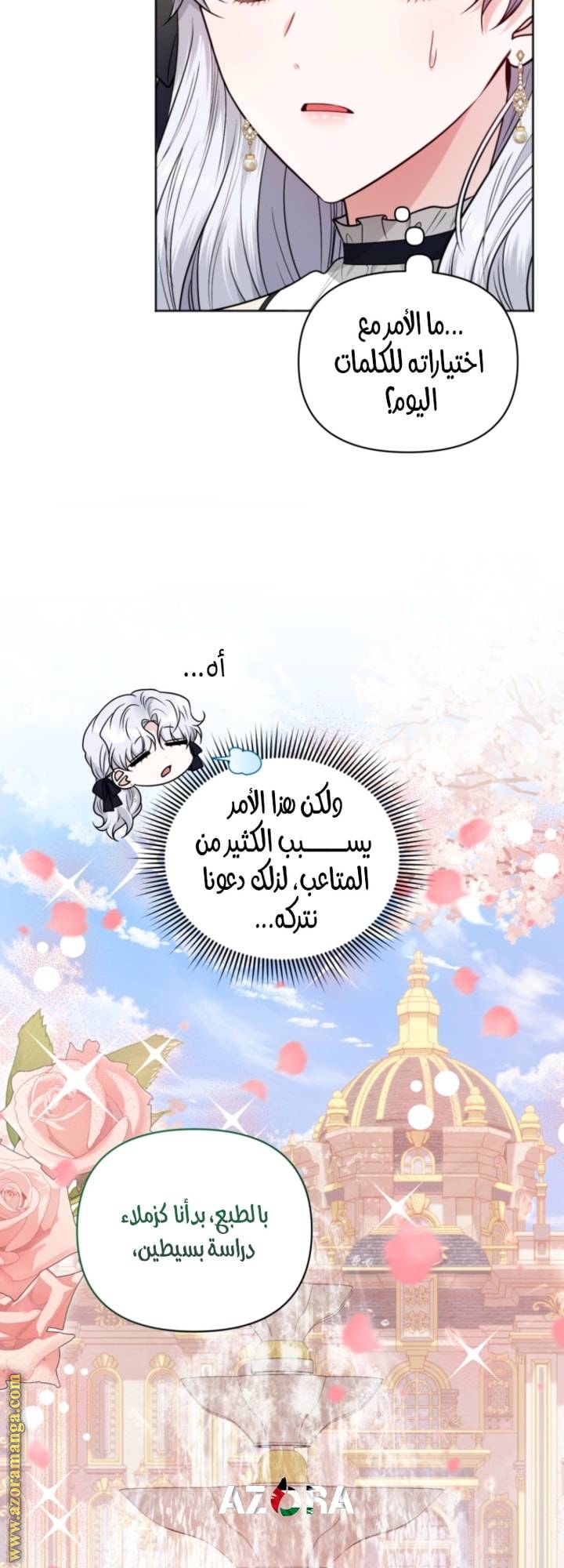 الصفحة 29