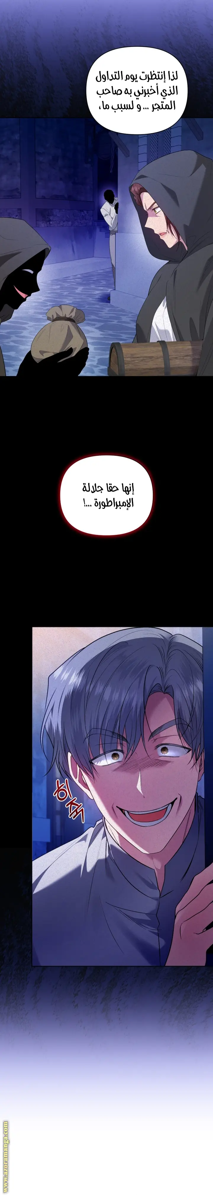 الصفحة 15