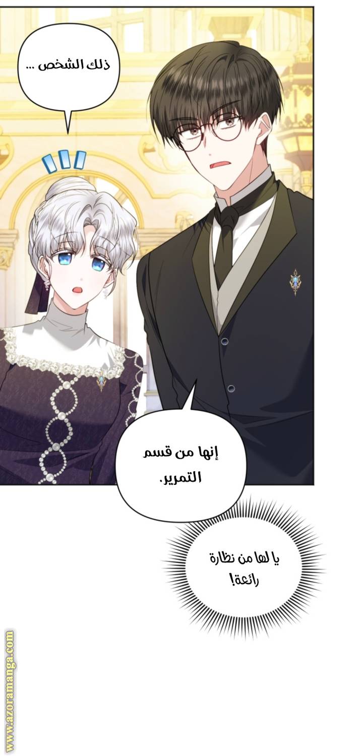 الصفحة 27