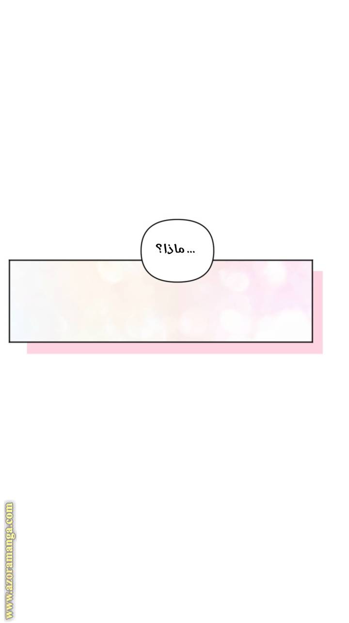 الصفحة 66