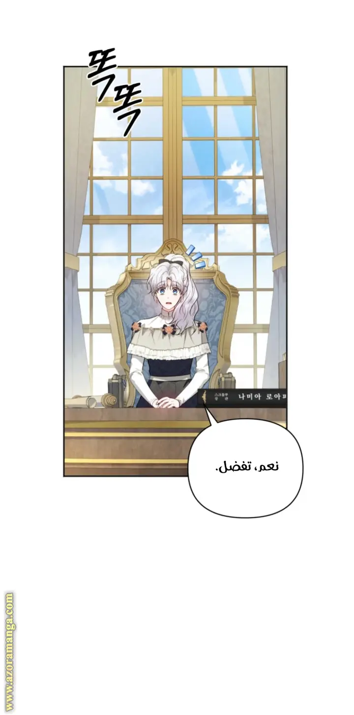 الصفحة 46