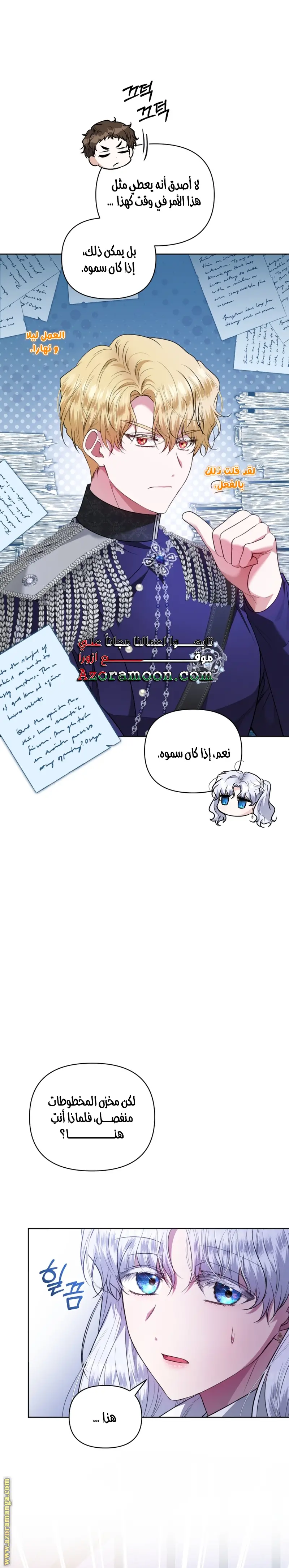 الصفحة 17